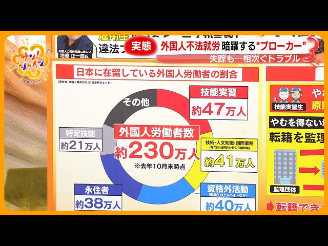 Image of Calo Mengincar Peserta Magang Asing Di Jepang