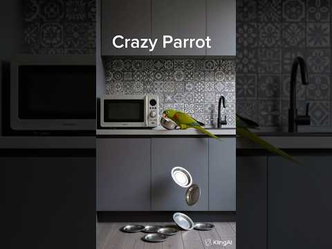😂 Crazy Parrot Throws Plates and Slides on Them! You Won’t Believe This!