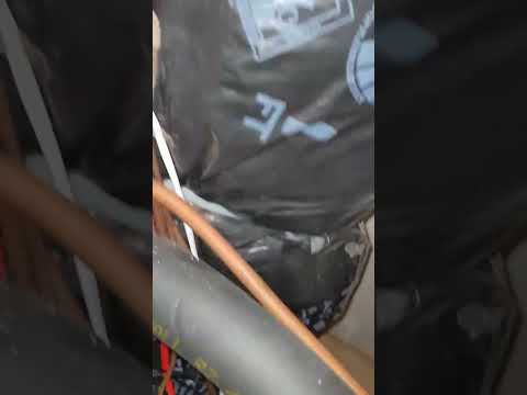 Jobs with Josh:⚡Condensate Safety Switch Wiring