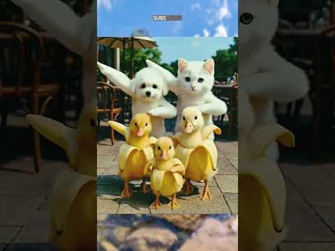 Banana clothing dance 🥰#dance #dancevideo #babydance #baby #cutebaby #cute #shorts #arts_forever