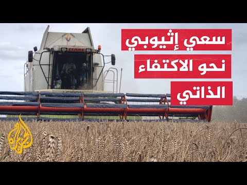الحكومة الإثيوبية تسعى لتحقيق الاكتفاء الذاتي من إنتاج القمح