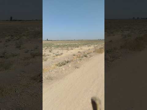 رحله  من لعمر داخل صحره