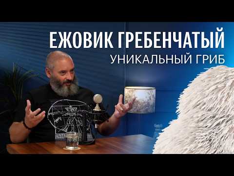Оправдан ли хайп вокруг ежовика гребенчатого? Михаил Вишневский