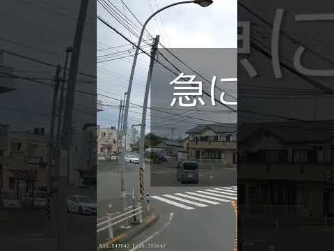 突然　信号無視　老人・・#shorts #ドライブレコーダー #迷惑運転 #危険運転 #事故