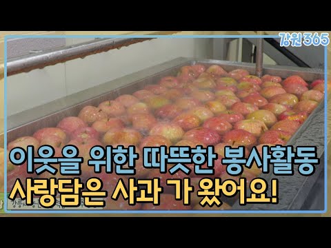 사랑담은 사과가 왔어요!  / MBC강원영동 240116 방송