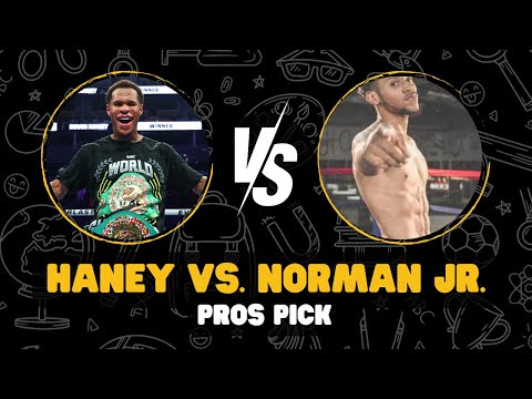 Devin Haney vs. Brian Norman Jr: The PROS predict!