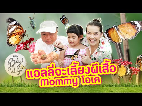 MamBob TV  MamBobAllyEP056:แอลลี่จะเลี้ยงผีเสื้อMommyโอเค๊!