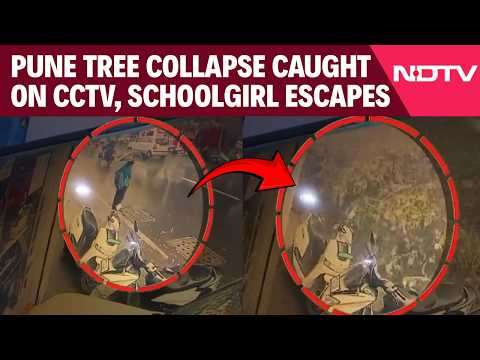 Pune Tree Collapse Caught On CCTV: Schoolgirl Narrowly Escapes During Heavy Rain
