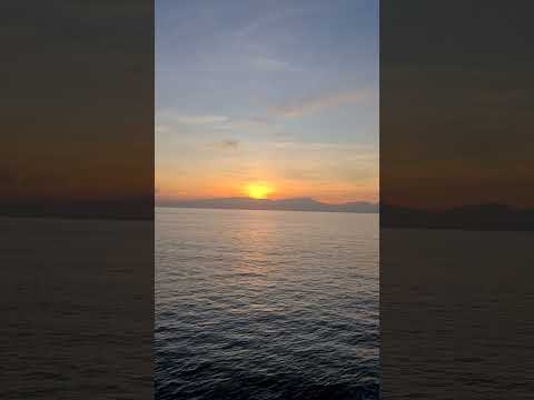 Trans Asia Shipping | Lite Ferries#shortsvideo