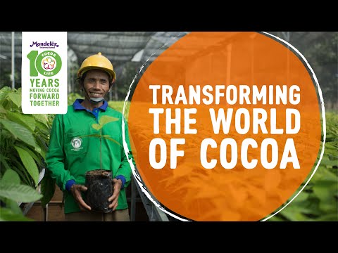 10 Years of Cocoa Life: Transforming the World of Cocoa