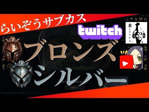 サブスクライバーカスタム解説【ブロンズシルバー部門】