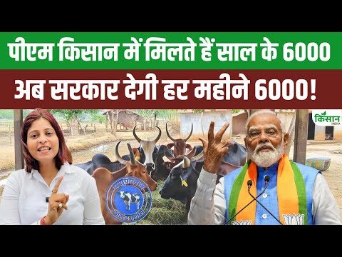 Mukhyamantri Besahara Govansh Sahbhagita Yojana में सरकार हर महीने देगी पैसे, ऐसे करें आवेदन!