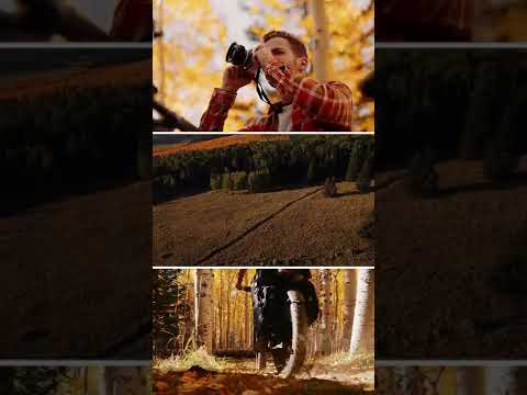 Aspen Collage Reel #shorts