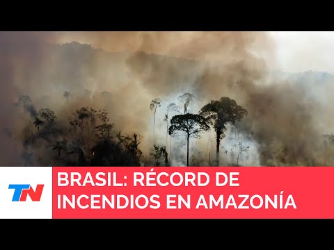 BRASIL I Casi 3.000 incendios en la Amazonía brasileña, récord para mes de febrero