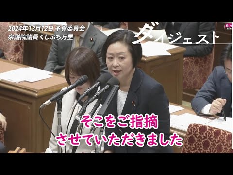 くしぶち万里【明らかに失格です！】2024年12月12日 衆議院・予算委員会【国会ダイジェスト】