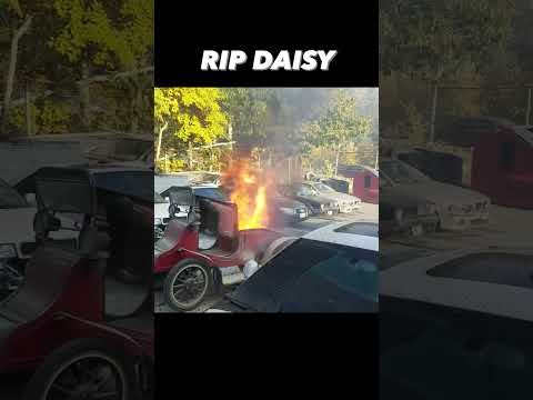 We Miss You Daisy #daisy #fire #battery