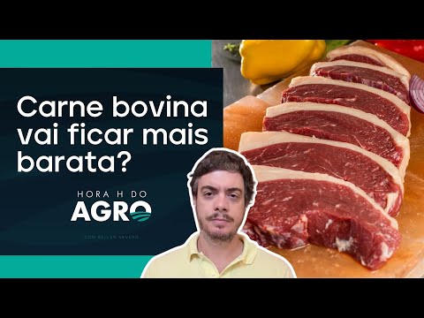 Tendência mudou? Boi recua 10% em dezembro | HORA H DO AGRO