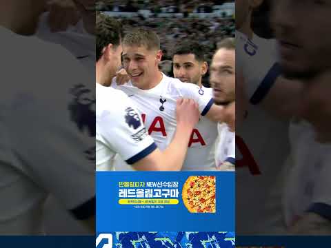 SON 리그 9호 도움 판 더 펜의 벼락같은 추가골! (04.08)