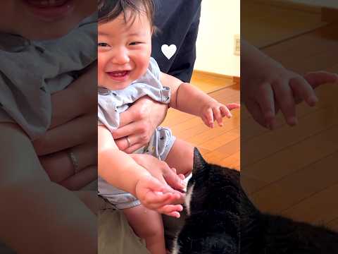 18歳を迎えたハチワレ猫のお祝い　#赤ちゃんと猫 #cat #baby #babyboy