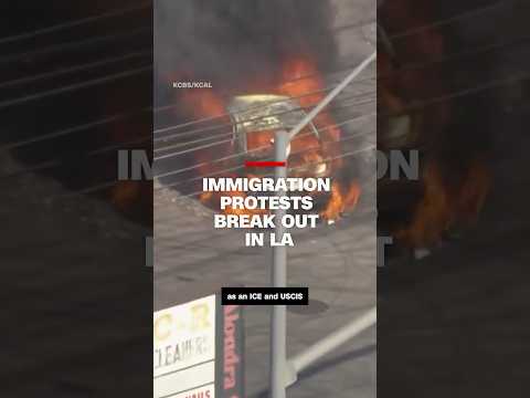 Immigration protests break out in Los Angeles