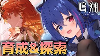 【#鳴潮】Ver2.6後半に向けて育成と探索進める！【依逆ルメイ/VTuber】