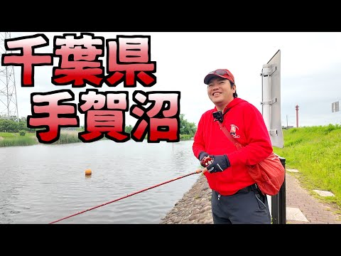 千葉県の手賀沼ってどうなん？