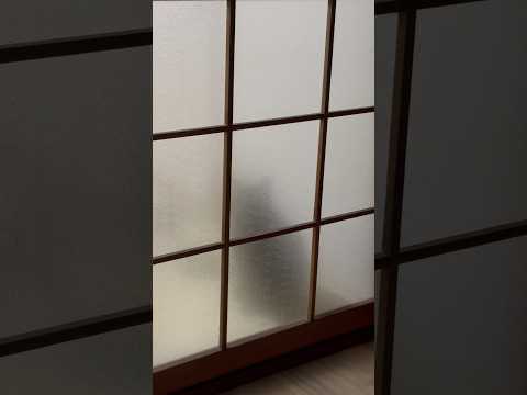 夜食を食べてたら起きてきた猫 猫ってシルエット本当可愛い