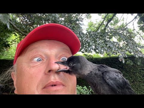 YouTube video thumbnail