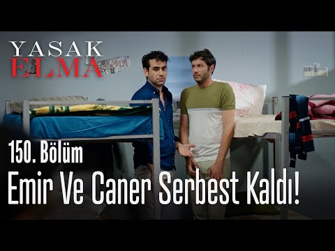 Emir ve Caner serbest kaldı! - Yasak Elma 150. Bölüm