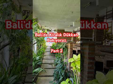 Bali’de kiralık dükkan bakıyoruz | Part 2 #yurtdışındayatırım #bali #part2 #keşfetaçıl