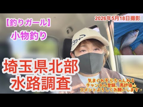 【釣りガール】田んぼに水が入ってきた5月の水路調査(埼玉縣北部)