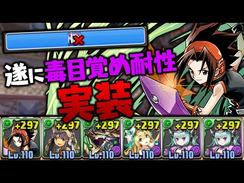 強化された転生麻倉葉で裏列界を倒す！！予定【パズドラ】