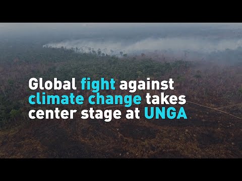 Global fight against climate change takes center stage at UNGA