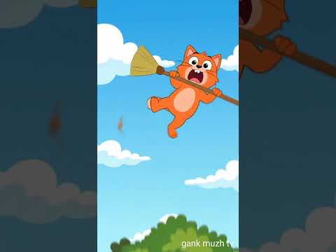 flying broom #funny #cat