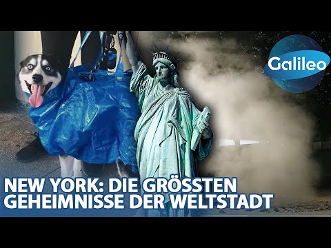 Einheimischer New Yorker zeigt die größten Geheimnisse der Weltstadt