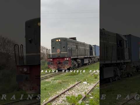 DN 320 TUNISIE 🇹🇳