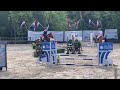 Show jumping horse Super fokmerrie drachtig heeft veel goeie springpaarden gebracht