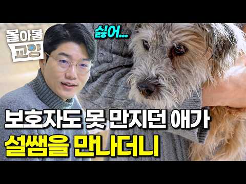"미안해, 너무 늦게 알아채서..." 9개월 동안 다가오지 못했던 강아지의 진심 #몰아볼교양
