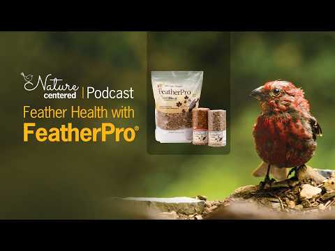 Feather Health with FeatherPro® | Nature Centered Podcast by Wild Birds Unlimited