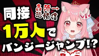【 高所恐怖症 】21:00 時点の 同接数 で バンジージャンプ 決定⁉︎【 雑談 vtuber ライブ配信中 愛乃ひめ 】 #新人vtu