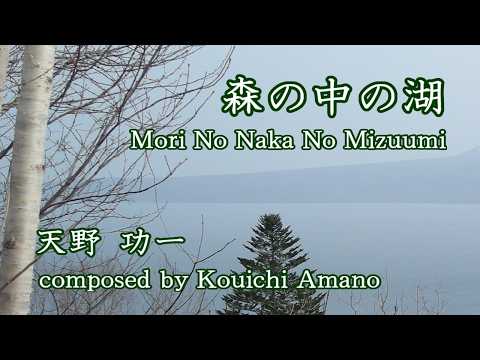 森の中の湖