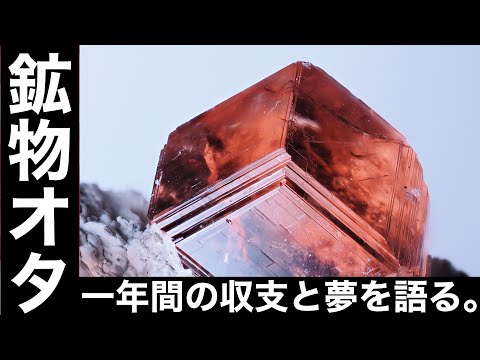 【超豪華ゲストあり】TASKの鉱物棚１周年記念配信！
