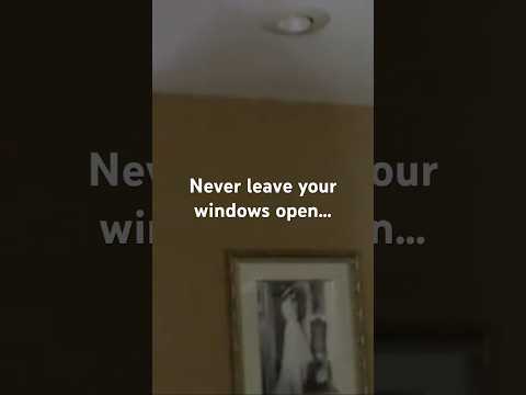 Never leave your bedroom window open!