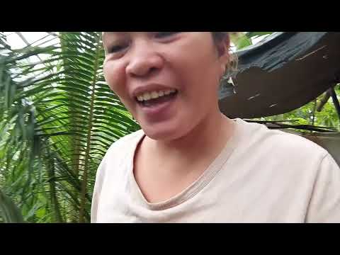 Highlight 2:56:46 - 3:01:44 from BUNTAG PA SAYO BALIK TA TULOG LANGGA/chubby Mom LIFESTYLE  is live!
