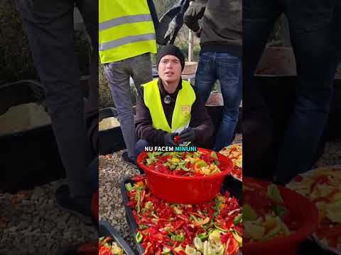 Pentru bunicii care nu mai au pe nimeni