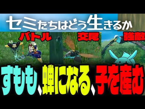 過酷すぎるセミとなり田舎で一生懸命生き残るすもも【セミたちはどう生きるのか】