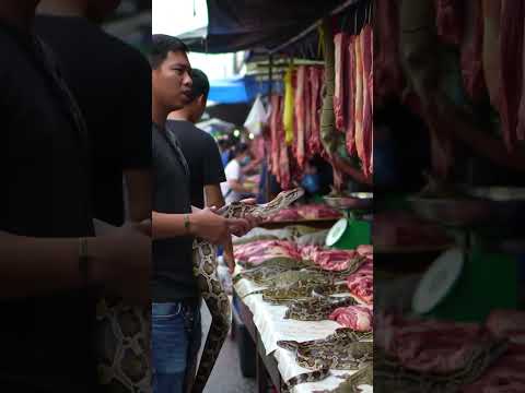 # wild animals and meats. sold in Asia market