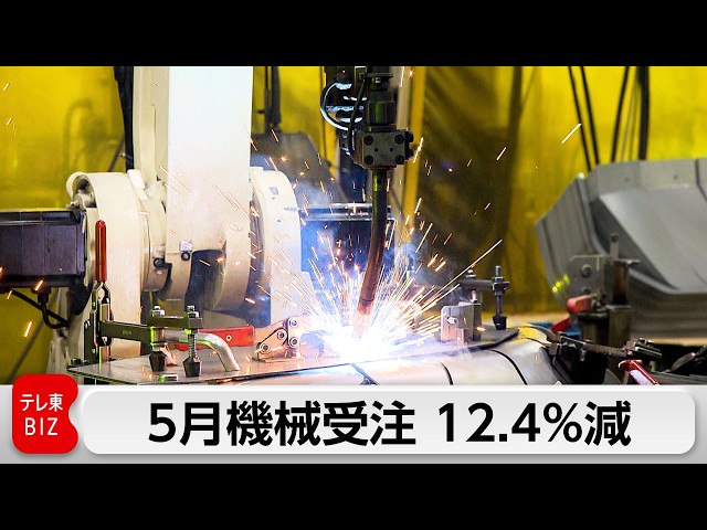 Image of Japan Machinery Orders Fall 12.4% in May