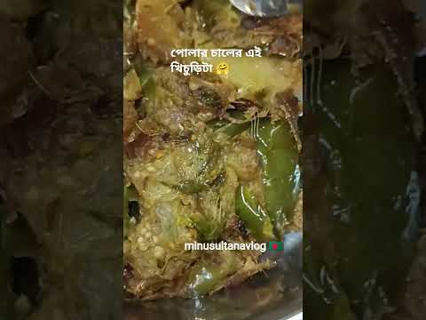 এই খিচুড়ির সাথে গরুর মাংস দিয়ে রান্নাটা খুব পছন্দ😋#minusultanavlog #food #reels #beef #shorts #fyp