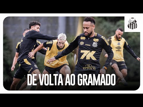 image para ilustrar o artigo